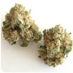 Шишки "White Widow"  (Белая вдова)  Гидропоника -  Бошка VHQ в Гулькевичах