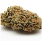 Шишки AK47  (Гидропоника, Бошка) VHQ в Гулькевичах